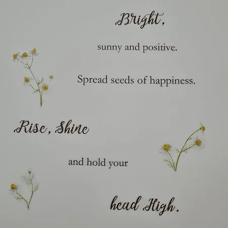 Dock Bay Appartamento